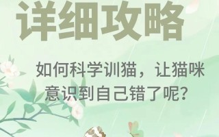 如何纠正猫咪破坏植物呢：纠正猫咪破坏植物的行为