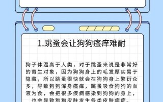 怎样消除狗狗身上的跳蚤：有效消除跳蚤的方法大揭秘！