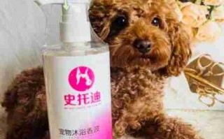 用洗发香波给犬洗澡不好 宠物香波能不能洗头发