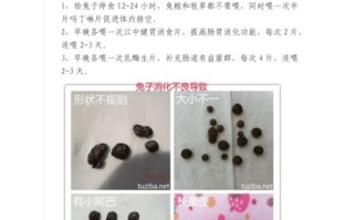 兔子拉稀怎么办最快的方法不用药，兔子拉稀了该怎么办?