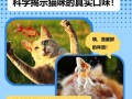 猫吃鱼健康吗，猫吃鱼肉好吗