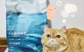 加菲猫吃哪款猫粮好，加菲猫吃的猫粮推荐