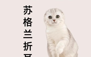 折耳猫的病因，折耳猫是有什么病