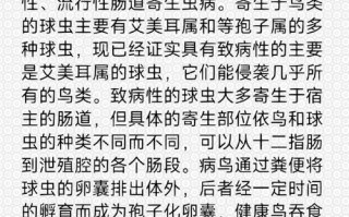 兔子球虫症和毛球症的区别，兔子球虫症和毛球症的区别是什么