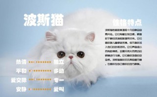 波斯猫的毛发是什么颜色的，波斯猫的毛长到几个月能长好