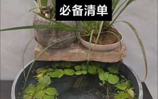 养鱼的要求，养鱼基本条件