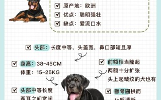 养罗威纳犬的坏处有哪些方面，养罗威纳犬的好处