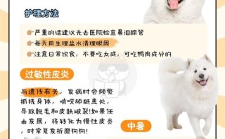 饲养萨摩耶犬的十大不良行为，养萨摩耶对人体的影响