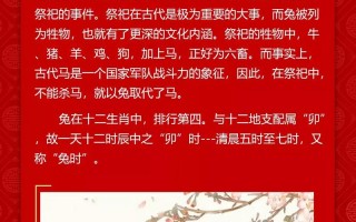 兔子的历史演变过程，兔子的历史演变过程图片