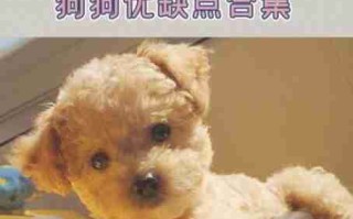 幼犬的优缺点 幼犬的优缺点和缺点