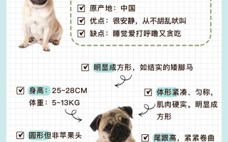 巴哥犬为什么叫八哥，八哥为什么叫八哥呢