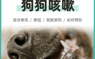 狗狗干咳是什么意思：症状、原因和处理方法