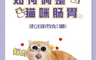 如何让猫咪作息和自己一致：如何调整猫咪的作息时间