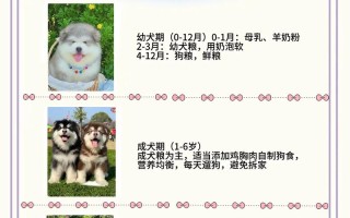 阿拉斯加犬如何训练狗定点大小便，阿拉斯加怎么训练拉屎