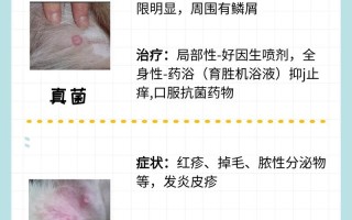 阿拉斯加犬常见的皮肤病及治疗方法，阿拉斯加犬常见的皮肤病及治疗方法图片