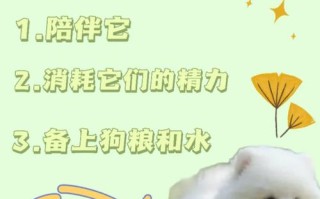 博美犬半夜老是要叫怎么办，博美半夜叫唤怎么回事