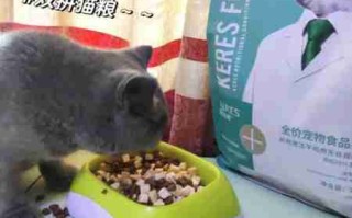 小小改变让猫活到15岁！你家猫主子吃的猫粮「干净」吗？ 如何让猫寿命长一点