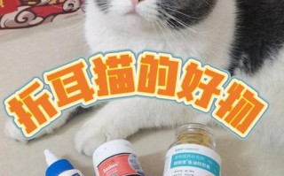 折耳猫能吃鱼干吗，折耳猫可以喂鱼吗