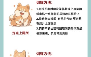 新手怎么训练萨摩耶犬幼犬，新手怎么训练萨摩耶犬幼犬吃饭