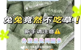 兔子不吃草根怎么办，兔子不吃草怎么办?