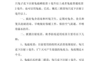 小兔子断奶后注意事项，小兔子断奶后注意事项有哪些