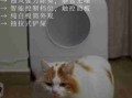 让猫咪像人一样蹲厕所是害猫！多久铲屎一次对猫最好？ 然后让猫在猫砂盆里拉屎