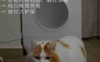 让猫咪像人一样蹲厕所是害猫！多久铲屎一次对猫最好？ 然后让猫在猫砂盆里拉屎