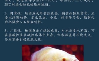 地图鱼又叫什么名字，地图鱼的学名