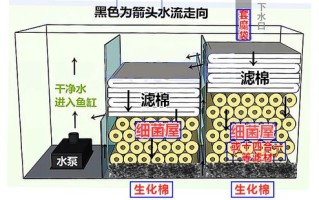 鱼池硝化，鱼池硝化细菌怎么培养