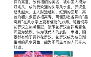 罗汉鱼的品系，罗汉鱼的品系分类