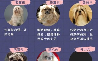 蒙古牧羊犬价格，蒙古 牧羊犬