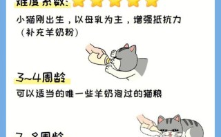 波斯猫幼崽怎么养，波斯猫新手怎么养