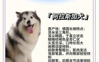 阿拉斯加犬会咬陌生人吗，阿拉斯加犬会不会咬主人