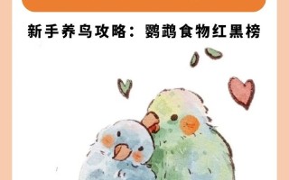 虎皮鹦鹉吃什么比较好，虎皮鹦鹉吃什么最好