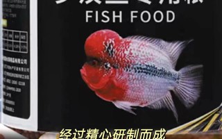 罗汉鱼饲料配方，罗汉鱼饲料一次喂多少