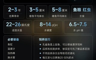 新手养鱼常识大全，新手养鱼入门基础教程