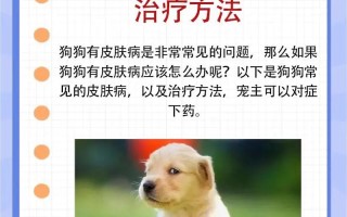 狗狗皮肤病的种类介绍：预防和治疗指南