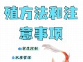 养鱼的技巧与注意事项，养鱼的最好方法是什么