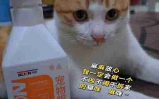 猫主子的尿正常吗？这几件事可判断！只花2毛钱就能测试 猫咪 尿