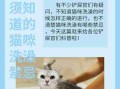 猫咪洗澡后这一步骤完全没必要！又有几只猫接连因此不幸死亡 猫咪洗澡后注意事项