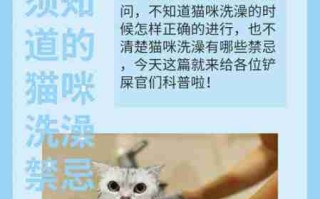 猫咪洗澡后这一步骤完全没必要！又有几只猫接连因此不幸死亡 猫咪洗澡后注意事项