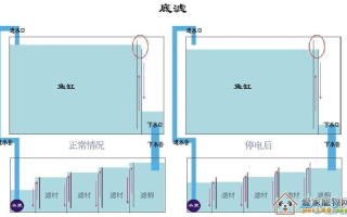 鱼缸过滤的正确方法和技巧