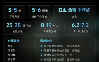 鹦鹉鱼喂养方法，鹦鹉鱼的饲养方法和喂食方法