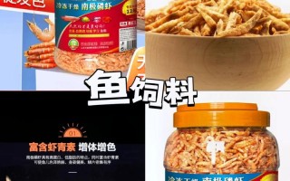 银龙鱼吃啥饵料，银龙鱼吃什么颗粒饲料好