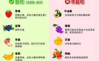 兔子不能吃什么，兔子不能吃什么食物和水果