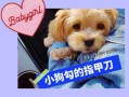 大型犬和中型犬指甲修剪 大型犬指甲长期不剪会有什么后果