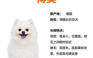 博美犬的寿命和年龄鉴定，博美狗狗的寿命一般是几年