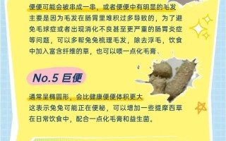 怎么判断兔子有没有毛球症，怎么判断兔子有没有虫