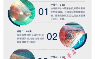 银龙鱼常见疾病：预防和治疗方法