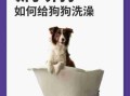 犬类洗澡时的注意事项 犬类洗澡时的注意事项是什么